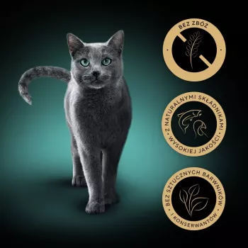 Šlapias kačių ėdalas Sheba Nature's Collection Mix 40×85 g maišeliai – suaugusioms katėms, pagrindinis skonis kalakutiena, drėgmė 83 %, baltymai 7,8 %