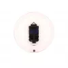 NeXtime klok 2615ro Focus, Ø25 cm, sieninis, baltas/raudonas