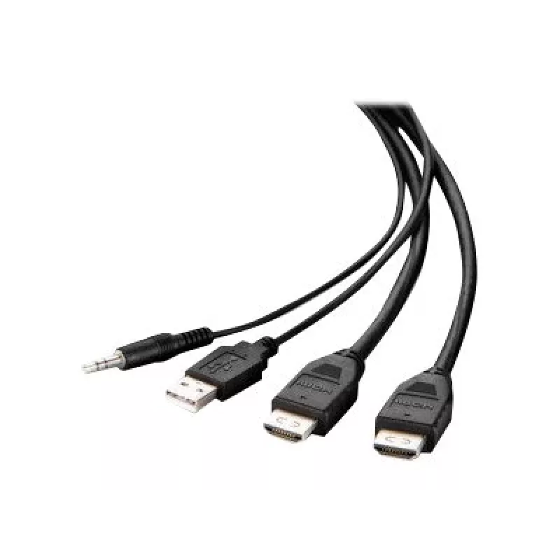 Belkin Secure KVM kombinuotas kabelis - vaizdo / USB / garso kabelis - TAA atitikmuo - USB, Mini-Jack, HDMI (M)