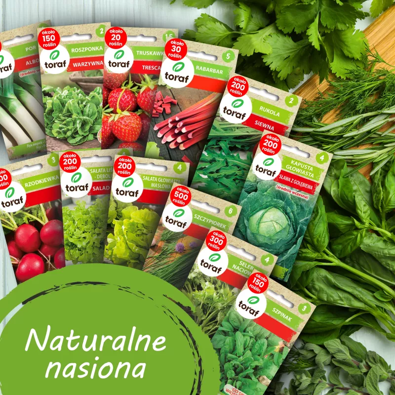 TORAF Spring Flavors sėklų rinkinys – 12 pakelių
