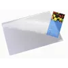 Leitz Plus staltiesė, skaidri, PVC, 650x500 mm, 1 vnt.