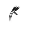 Ausinės Baracuda BGH-031 Conch Black
