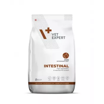 VET EXPERT Veterinary Diet Intestinal Dog sausas šunų ėdalas - 2 kg