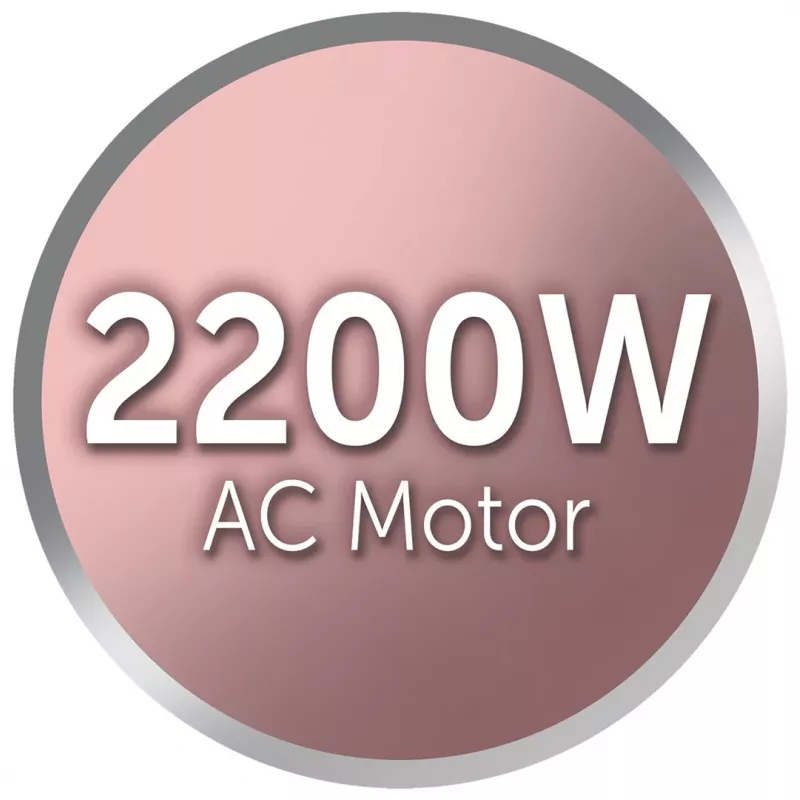 Plaukų džiovintuvas Remington AC8820 Silver 2200 W