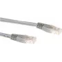 Ewent 2,0 m Cat6 UTP tinklo kabelis pilkas 2 m U/UTP