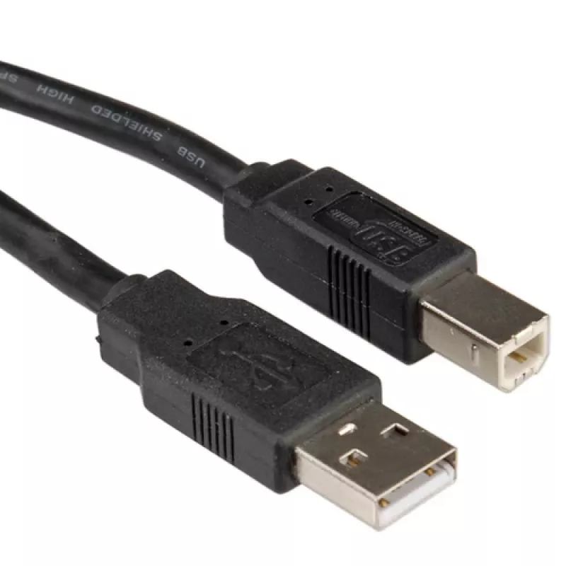 USB 2.0 laidas ROLINE Type A-B 3 m