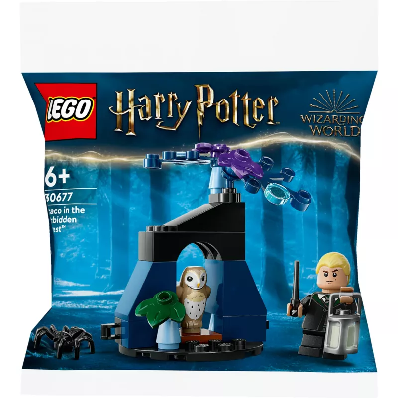 LEGO Harry Potter rinkinys 30677 – Drakas Uždraustajame miške minifigūrėlės scena