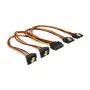 Vidinis maitinimo kabelis DeLOCK 60151 0,3 m 4 x SATA 15-pin