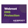 Webroot DNS Protection su GSM Console | 1 metai | Licencija 10-99 vartotojams
