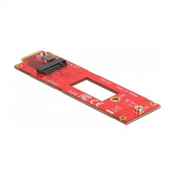 Konverteris EDSFF E1.S į M.2 Key M lizdą NVMe DeLOCK 63797