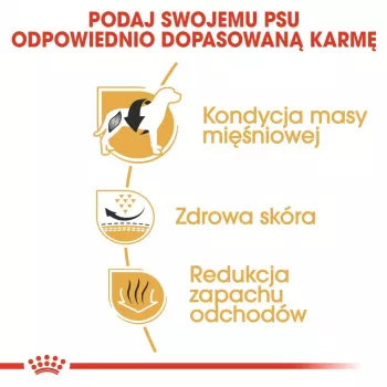 Sausas šunų ėdalas Royal Canin French Bulldog Adult 9 kg — kiauliena, 26% baltymų, 18% riebalų