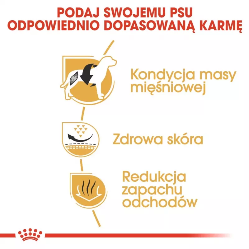 Sausas šunų ėdalas Royal Canin French Bulldog Adult 9 kg — kiauliena, 26% baltymų, 18% riebalų