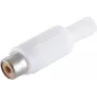 RCA jungtis (moteriška) ShiverPeaks BS51500-W balta