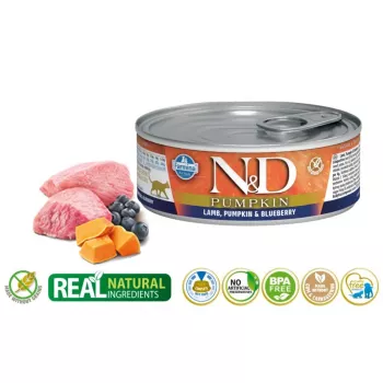 Šlapias kačių ėdalas Farmina N&D Pumpkin Lamb with Blueberry maišelis 70 g – grūdų neturintis receptas suaugusioms katėms