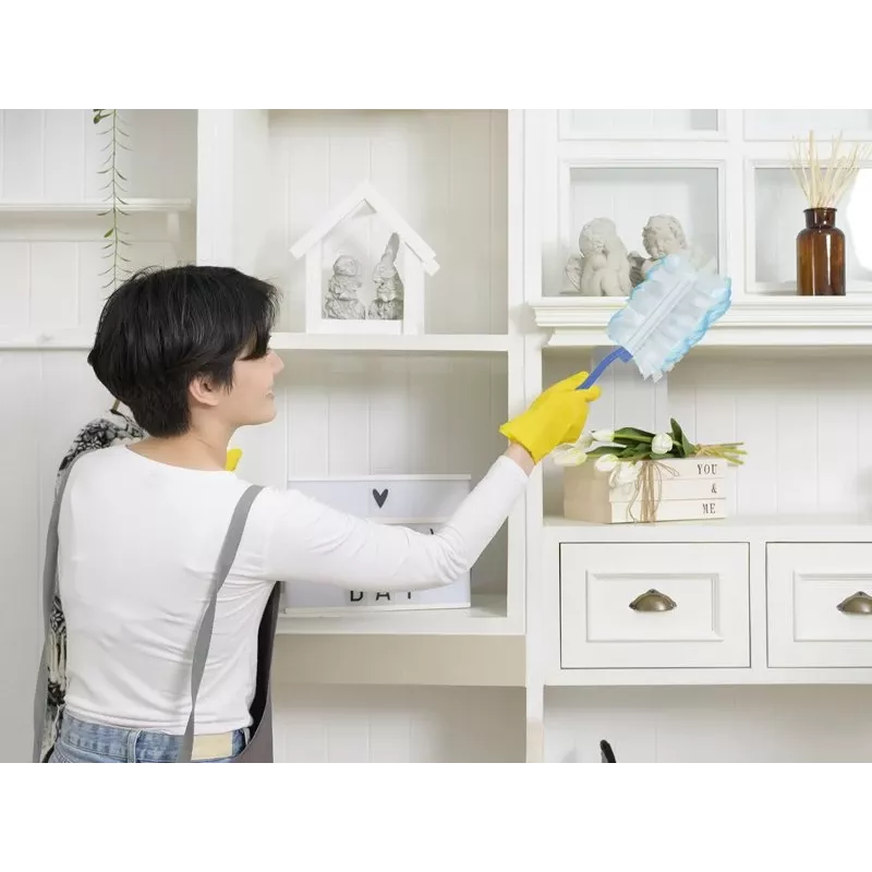 Beper Duster Kit C203PUL004 su 10 papildymų – rankinis dulkių šepetėlis