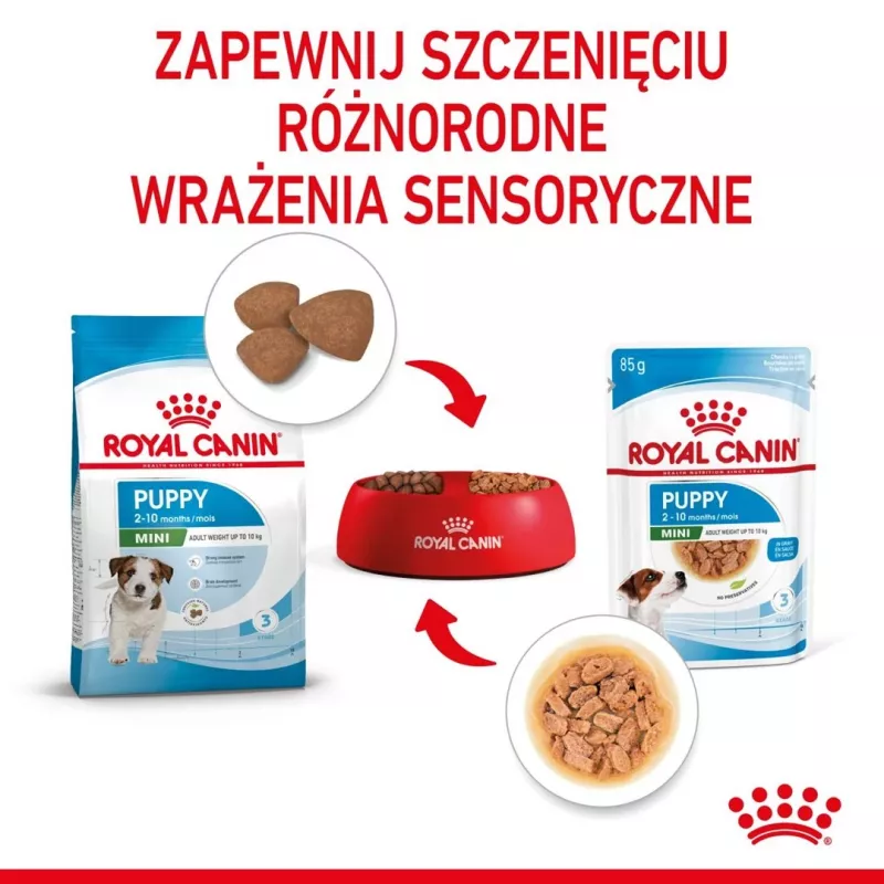 ROYAL CANIN SHN Mini Puppy padaže – šlapias ėdalas šuniukams – 12x85g