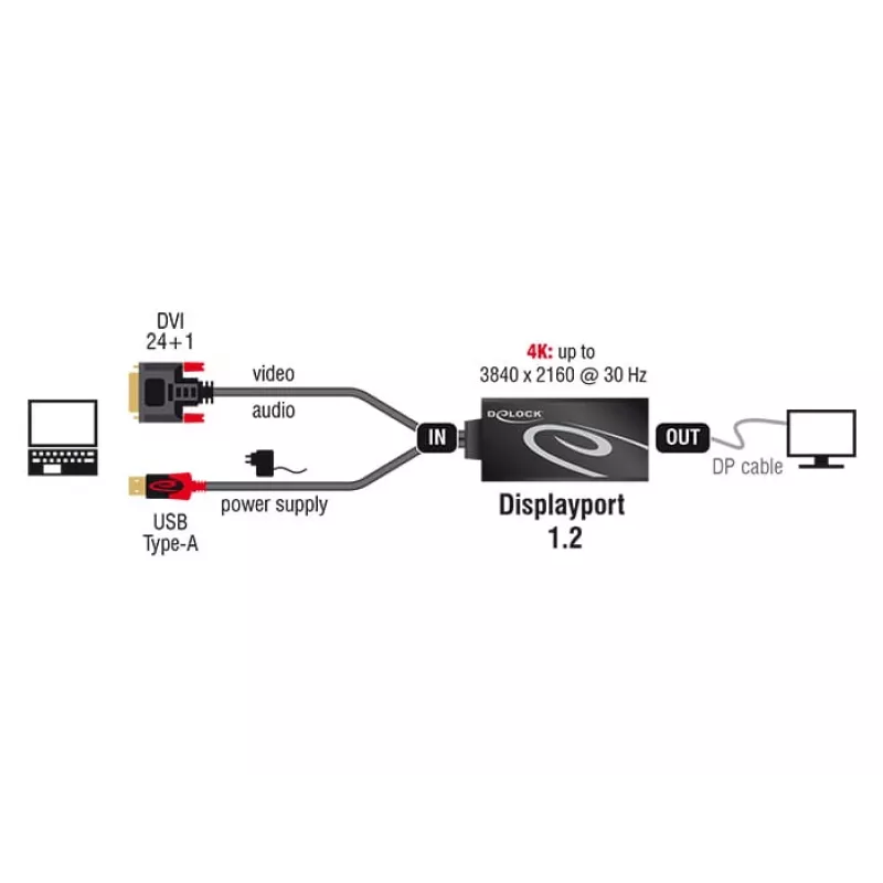 Adapterinis kabelis DVI 24+1 + USB-A / DisplayPort 20p DeLOCK 62596, 0,3 m