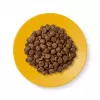 Applaws Senior sausas kačių ėdalas su vištiena, 2 kg
