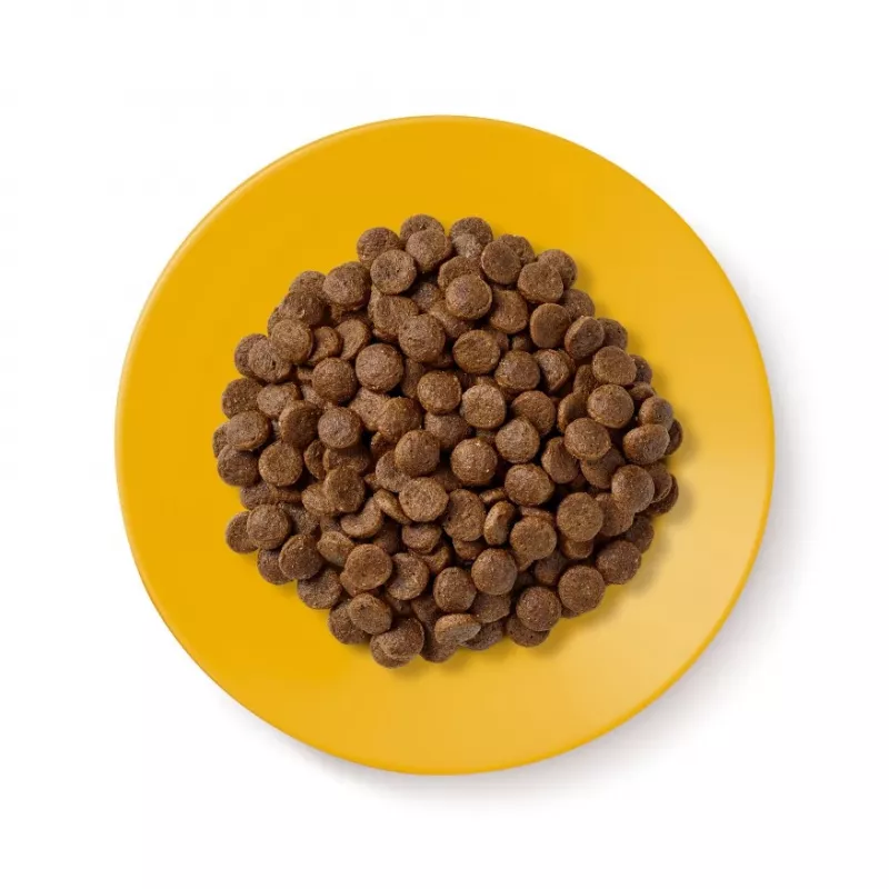 Applaws Senior sausas kačių ėdalas su vištiena, 2 kg