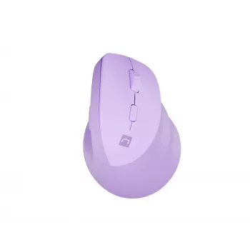 NATEC Crake 2 pelė universali Dešiniajai rankai RF belaidė + Bluetooth optinė 2400 DPI