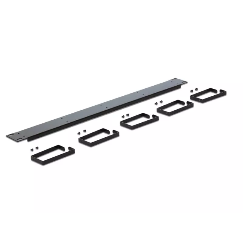 DeLOCK 42496 1U kabelių valdymo skydelis 19 inch