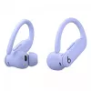 Ausinės Beats Powerbeats Pro 2