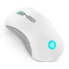 Žaidimų pelė Lenovo Legion M600 RF belaidė + Bluetooth + USB Type-A, ambidekstrinė, 16000 DPI, 9 mygtukų, įkraunama