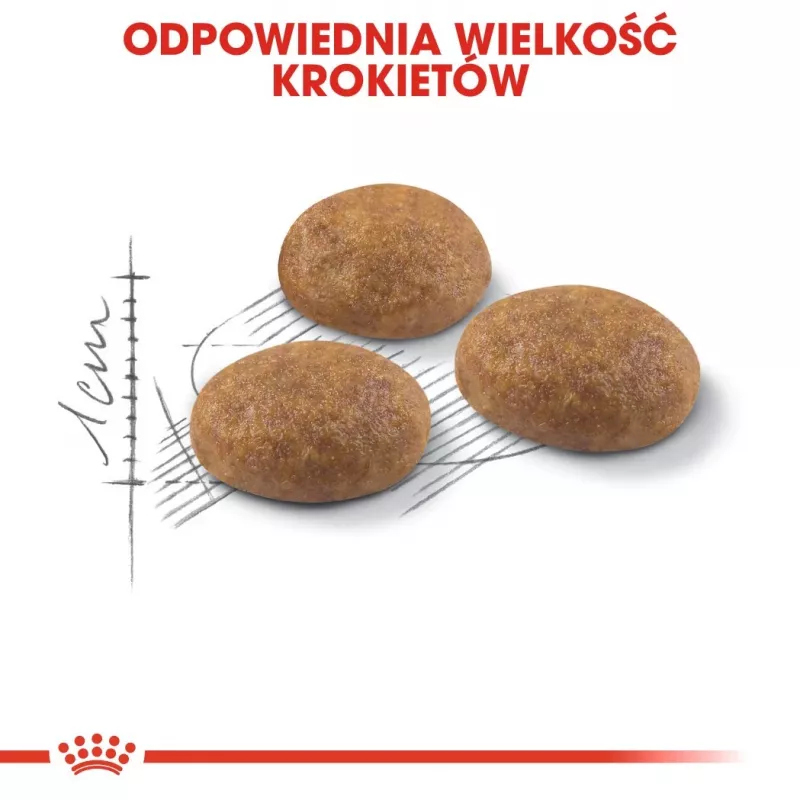 Royal Canin Outdoor sausas kačių maistas 2 kg