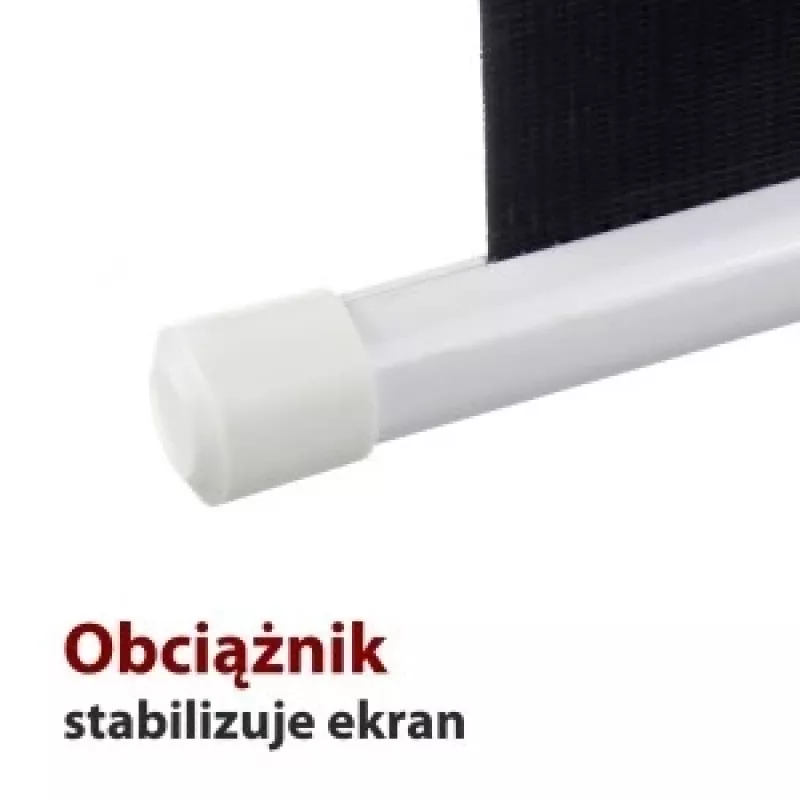 Projekcinis ekranas ART EL F100 4:3