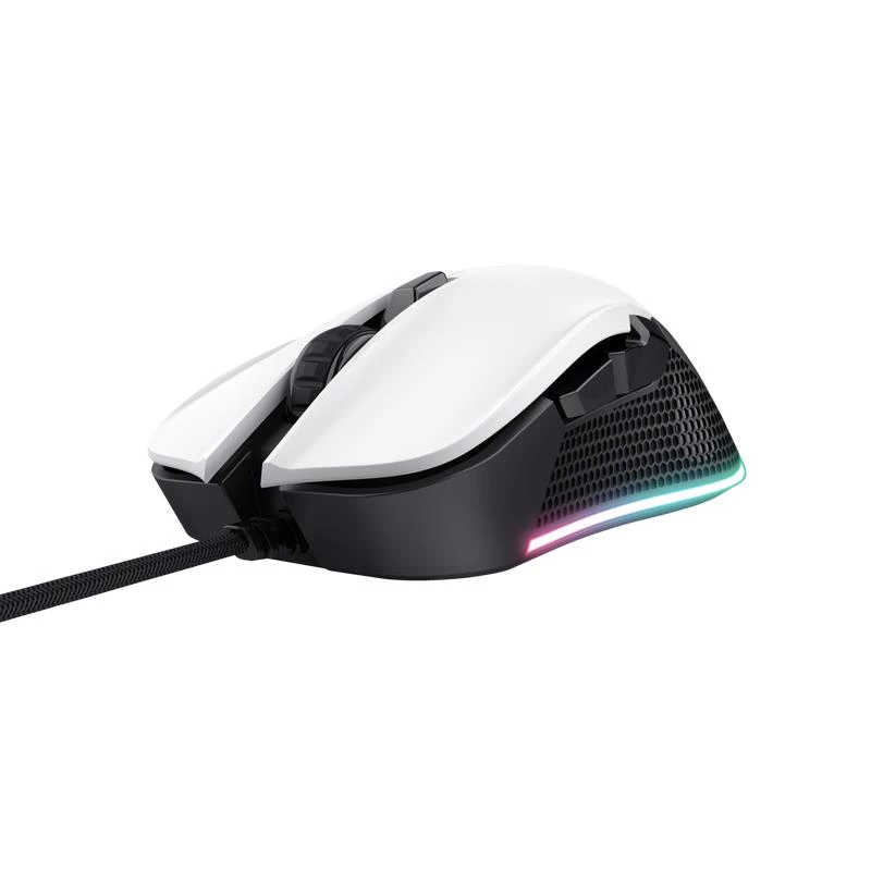 EURA IP GATEWAY ACA-20C9, skirta įrenginiams su TT Lock programa
