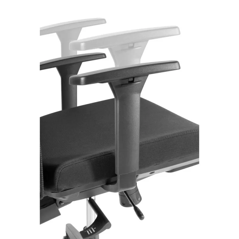 Ergonominė premium kėdė Ergo Officer ER-414