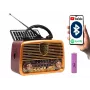 Analoginis radijo imtuvas BLOW RA10 AM/FM saulės energija 77-540