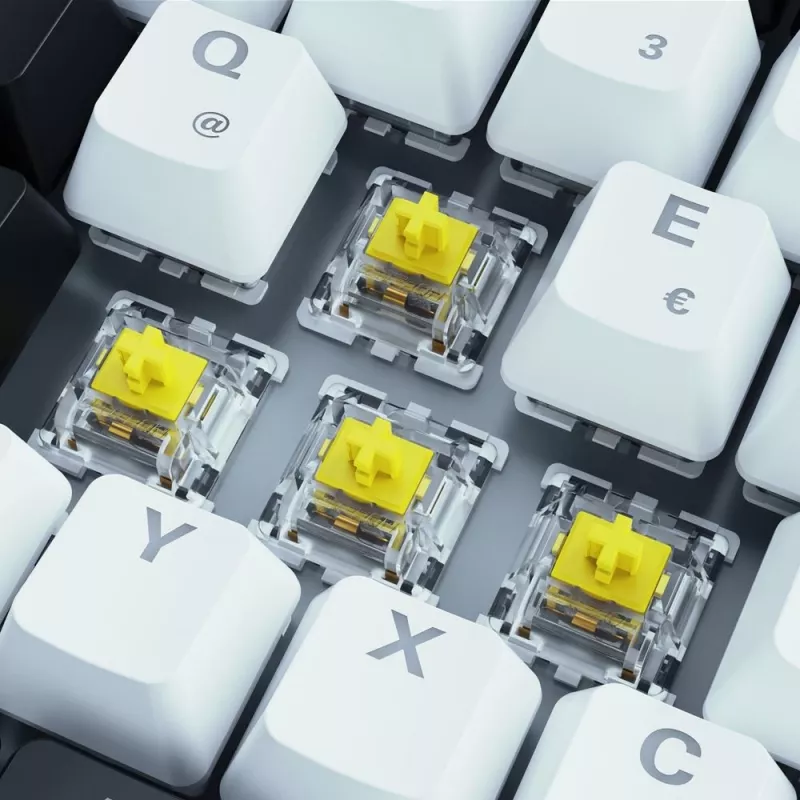 Sharkoon SKILLER SGK50 S3 klaviatūra mechaninė žaidimams USB AZERTY balta