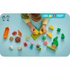 LEGO DUPLO 10452 Kempingo išvyka