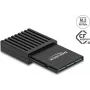 DELOCK CFexpress į M.2 adapteris Xbox modelis 61089