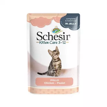 SCHESIR Vištienos filė želė – šlapias ėdalas kačiukams – 85g