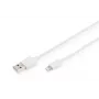 DIGITUS - Lightning laidas - Lightning (kištukas) į USB-A (kištukas) - 1,0 m - Dviguba izoliacija - Baltas - Lietas - Apple iPad/iPhone/iPod (Lightning) (DB-600106-010-W)
