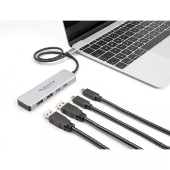 DeLOCK USB Hub USB Type-C 10 Gbps 2x Type-A 2x Type-C 35 cm kabelis