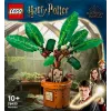 LEGO Harry Potter 76433 Mandragora