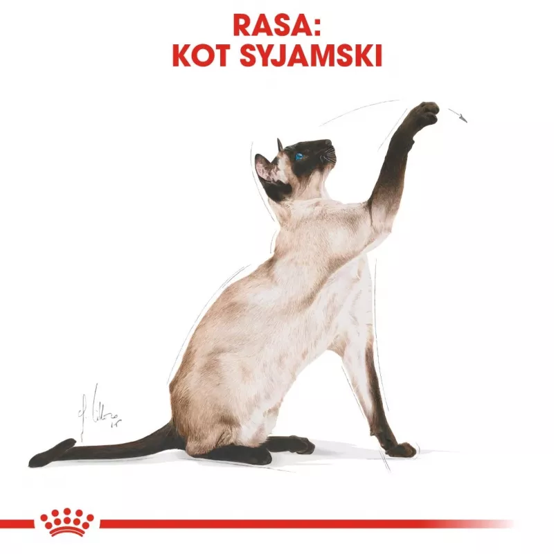 Sausas kačių ėdalas Royal Canin Siamese 2 kg – suaugusioms, paukštiena, baltymai 38%, riebalai 16%