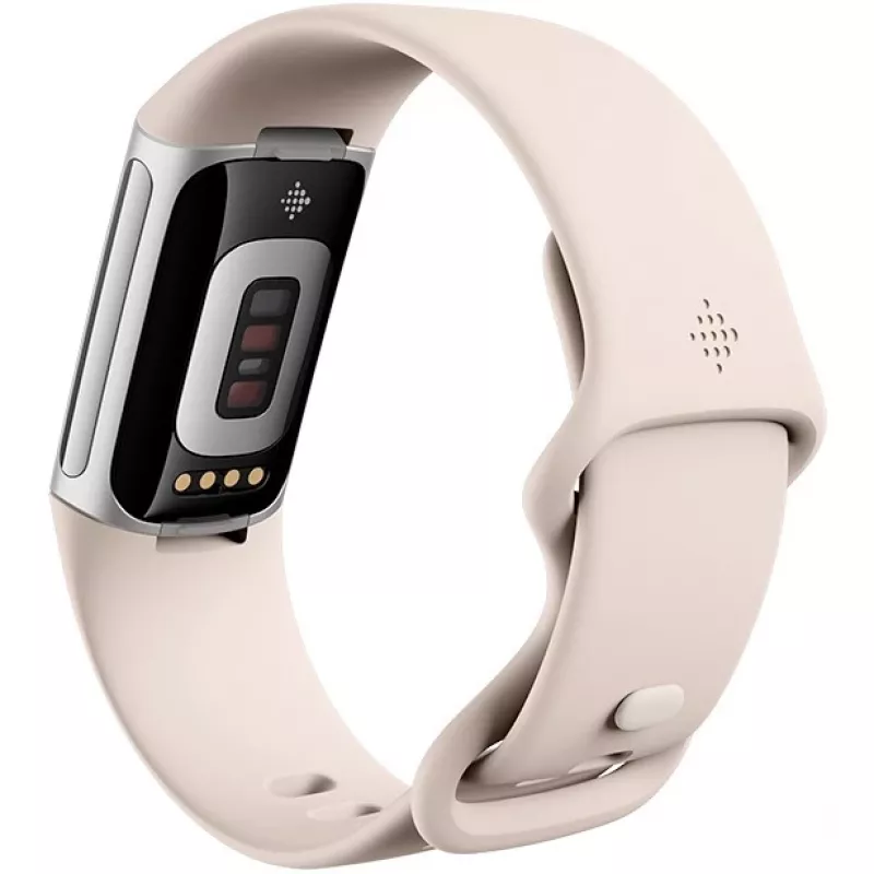 Fitbit GA05185-EU Sidabrinė