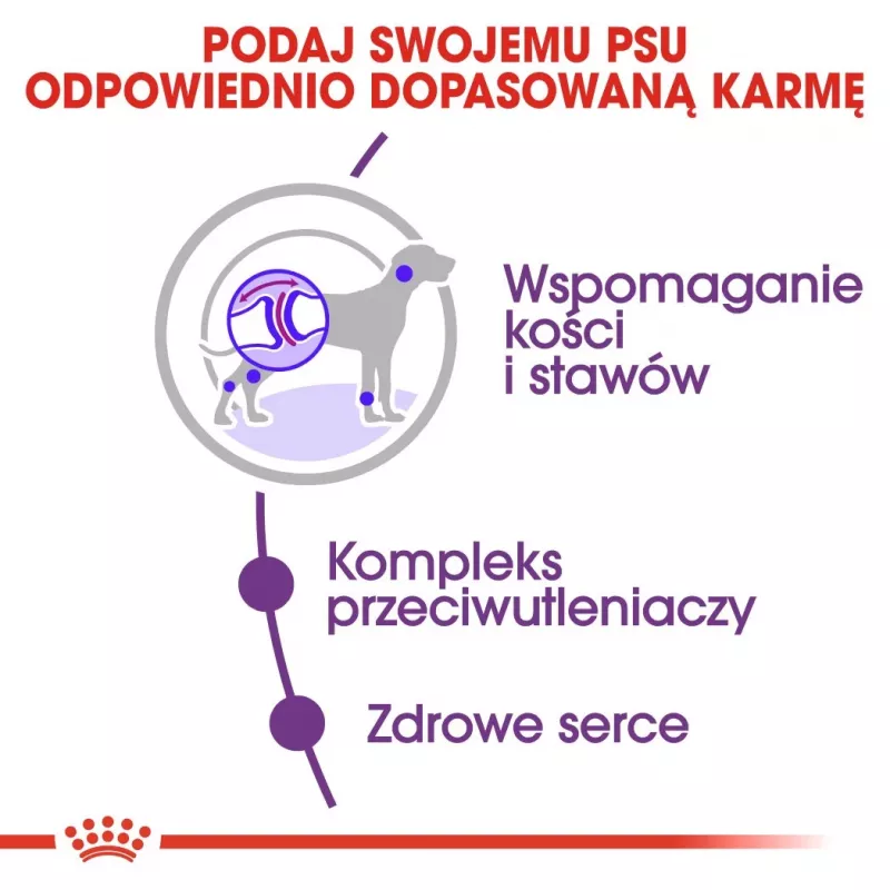 ROYAL CANIN Giant Adult – sausas šunų maistas – 15 kg