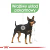 Šlapias šunų maistas Royal Canin Digestive Care Meat & Vegetable maišeliai 12 x 85 g — suaugusiems šunims, virškinimo palaikymui