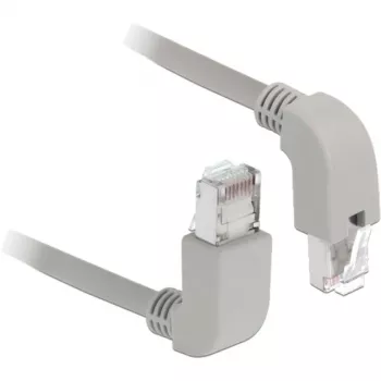 DeLOCK 85871 Tinklo kabelis Cat6a S/FTP 1m Pilka