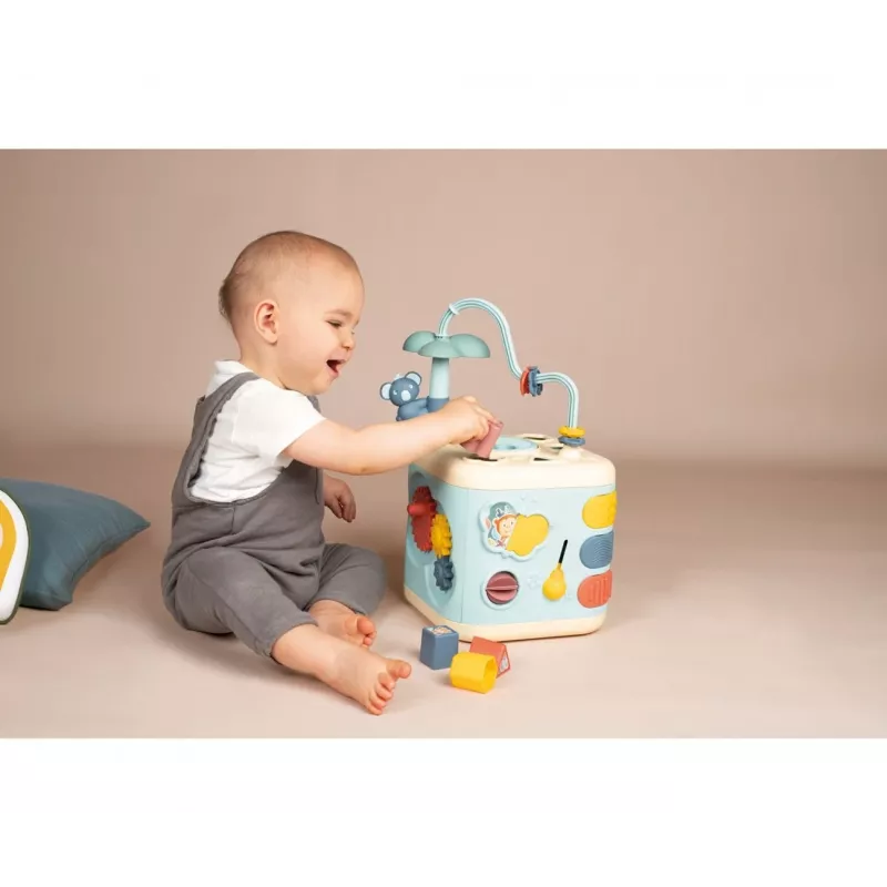 Mokomasis kubas Smoby Dickie 7600140306 Įvairiaspalvis nuo 1 metų