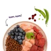 BOSCH Sanabelle Adult Ostrich & Blueberries - sausas ėdalas katėms - 2kg