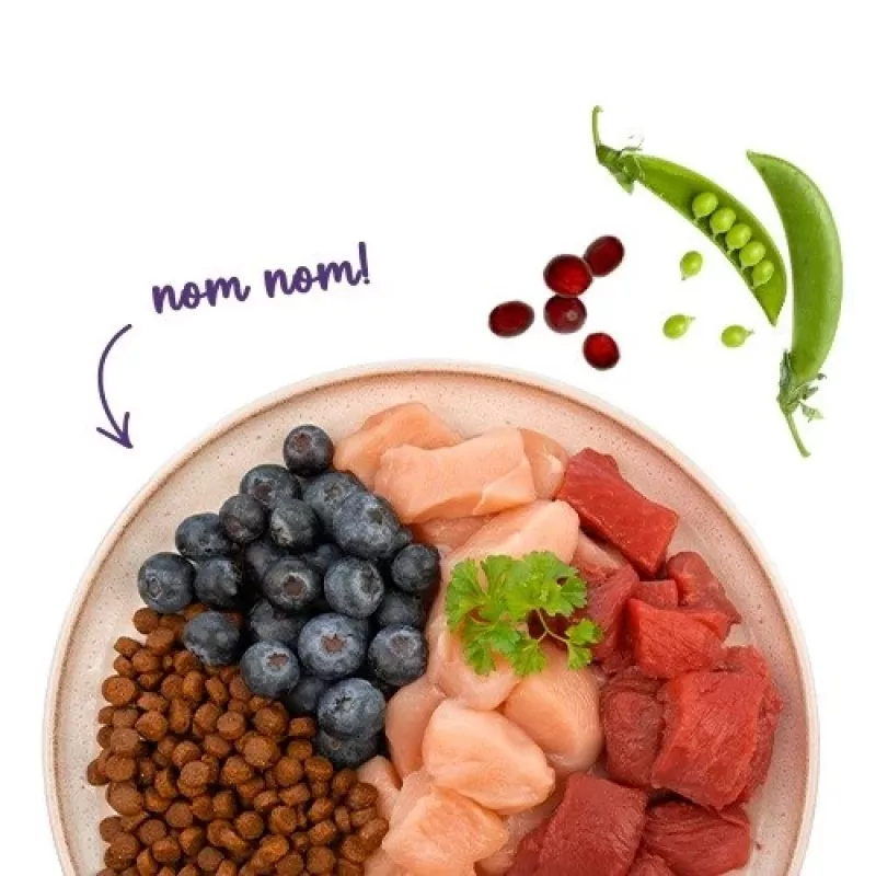 BOSCH Sanabelle Adult Ostrich & Blueberries - sausas ėdalas katėms - 2kg