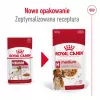 ROYAL CANIN SHN Medium Adult padaže – šlapias pašaras suaugusiems šunims – 10x140 g