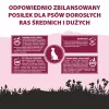 PUPIL Premium Medium and large breeds Rich in beef - sausas šunų maistas - 12kg