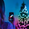 Twinkly Candies LED Kalėdinės eglutės lemputės TWKP100RGB-T 6 m 100 karoliukų formos švieselių